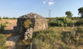 Tocht Stappen Conques-sur-Orbiel - Mur_aribaud_capitelles_réel - Photo 1