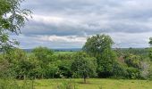 Trail Walking Theux - entre la ferme st Remacle et Hodbomont - Photo 5