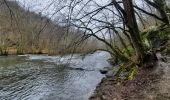 Trail Walking Houffalize - rando nadrin 14/03/2021 - Photo 19