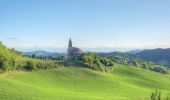 Tocht Te voet Montesegale - Anello Fornace Sud - Photo 4