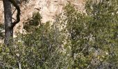 Trail Walking Marseille - Rando tour de la Candelle-Sugiton-Sofmiou - Photo 19