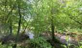 Tocht Stappen Gedinne - rando bourseigne vieille 15-06-2024 - Photo 10