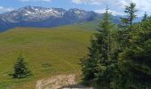 Tour Wandern Crêts-en-Belledonne - Refuge du Crêt du poulet-col de Merdaret-Bois Vert - Photo 12