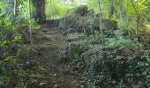 Randonnée Marche Nogent-le-Bernard - Nogent-le-Bernard - Menhir de Courtevrais - Photo 13