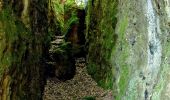 Percorso A piedi Canale Monterano - Ara del Tufo - Photo 9