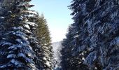 Randonnée Marche Vassieux-en-Vercors - Forêt communale de Dié - Photo 3