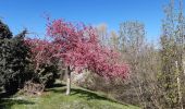 Percorso Marcia Savigny-le-Temple - savigny le temple  - Photo 1