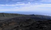 Trail Walking Sainte-Rose - Le Piton de la fournaise (aller)  - Photo 3