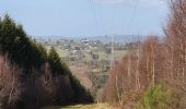 Tour Wandern La Roche-en-Ardenne - rando ornitho warempage 24/02/2021 - Photo 5