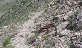 Trail Walking Névache - Nevache font couverte cols : Buffet et roches noires - Photo 5
