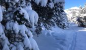 Excursión Raquetas de nieve La Llagonne - 20230224 pla avellans raquettes  - Photo 2