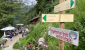 Tocht Stappen Chamonix-Mont-Blanc - Chamonix : Les Bois - le chapeau  - Photo 20