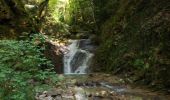 Trail Walking Saint-Vincent-de-Mercuze - les cascades  - Photo 4