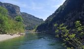 Trail Walking Labastide-de-Virac - Les gorges par 1000 étoiles  - Photo 5