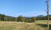 Tocht Stappen Saint-Agnan-en-Vercors - Col de soulier - Photo 4