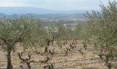 Excursión Senderismo Los Arcos - Camino Francés - Etp7 - Los Arcos - Logroño - Photo 1