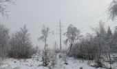 Percorso Marcia Spa - berinzenne entre fagne et bois dans le brouillard - Photo 17