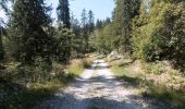 Trail Walking Autrans-Méaudre en Vercors - Autrans - Gève - Bec de l'Orient - La Buffe - Photo 20