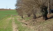 Tocht Te voet Besigheim - Roter Punkt Sachsenheim - Besigheim - Photo 1