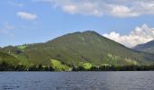 Randonnée A pied Lunz am See - Lunz am See - Maierhöfen und weiter - Photo 9