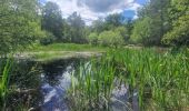 Tour Wandern Fontainebleau - Boucle 20 km Fontainebleau vert galant - Photo 4