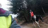 Trail Horseback riding Métairies-Saint-Quirin - rond pré tivio vispa pepito - Photo 1