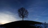 Trail On foot St. Gallen - St. Gallen Panoramatour - Photo 2