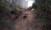 Trail Walking Ramatuelle - Cap Camarat - Photo 16