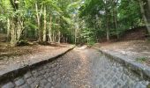 Trail Walking Clamart - Tour des etangs - Bois de Clamart et de Meudon - Photo 7
