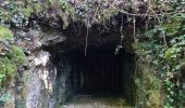 Randonnée Marche Nouzilly - Nouzilly - Caves troglodytes - Photo 3