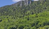 Trail Walking La Chapelle-en-Vercors - tour de loscense - Photo 5