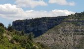 Randonnée Marche Saint-Maurice-Navacelles - Navacelles - Photo 8