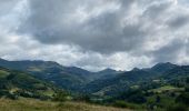 Tocht Stappen Mandailles-Saint-Julien - Mandailles Elanceze Col de Pertus - Photo 12