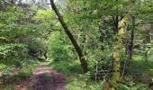 Trail Walking Spa - les eaux au sud de Spa  - Photo 14