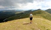 Excursión Senderismo Bouvante - Serre Montué ( petit et grand sommet) - Photo 4