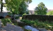 Excursión Senderismo Berrias-et-Casteljau - Bois de Paiolive Gorges de Chassezac - Photo 6