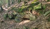 Trail Walking Rothbach - Lichtenberg - Photo 1