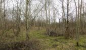 Trail On foot Unknown - West Fife Woodlands Way - Photo 3