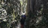 Excursión Senderismo Lioux - combe de vaumale et de lioux - Photo 1