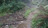 Tour Wandern Bouillon - Belle rando très sportive au départ de Rochehaut  - Photo 18