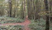 Tocht Stappen Vauchassis - Bois de maître Jacques - Photo 2