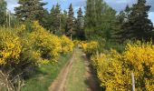 Tour Wandern Saint-Flour-de-Mercoire - L’Herm Notre dame des neiges - Photo 13