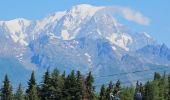 Trail Walking Peisey-Nancroix - Peisey Vallandry Les Rossets Col d'Entreporte  - Photo 3