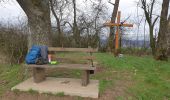 Tocht Stappen Beauraing - Balade à Javingue-Sevry - Photo 12