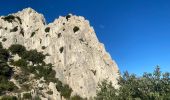 Tour Wandern Gigondas - Dentelles de Montmirail - Photo 11