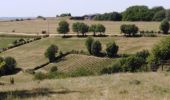 Tour Wandern Aubel - dalhem balade 13 - warsage valdieu  - Photo 7