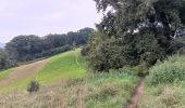 Trail Walking Riemst - kanne . maastricht . kanne - les 2 rives  - Photo 15