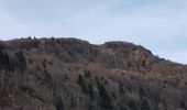 Tour Wandern Lepuix - Ballon d'Alsace - cascade et lac d'Alfeld - Photo 20