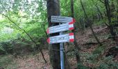 Trail On foot Lecco - Sentiero 1: Malnago - Rifugio Azzoni - Photo 10