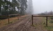 Tour Wandern Weismes - HAUTES-FAGNES ... au départ du Signal de Botrange.  - Photo 15